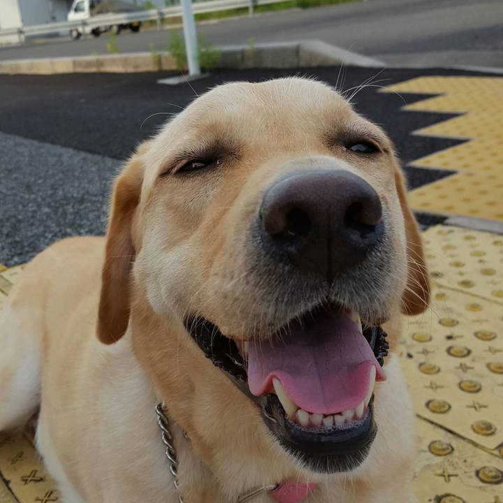 E15e8d90 2d4d 4f66 8e83 41decc64802b