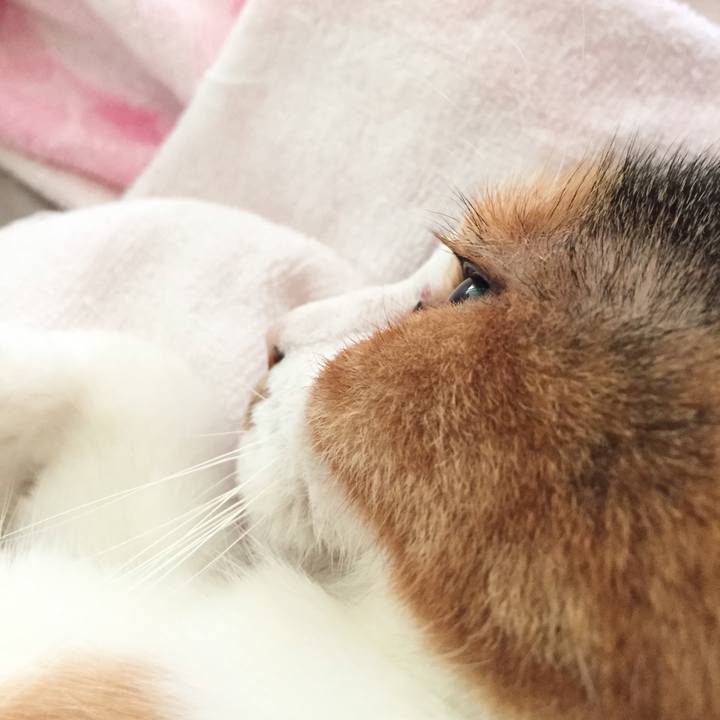 E15f712a a830 49cd a88e e4acc85db7f0