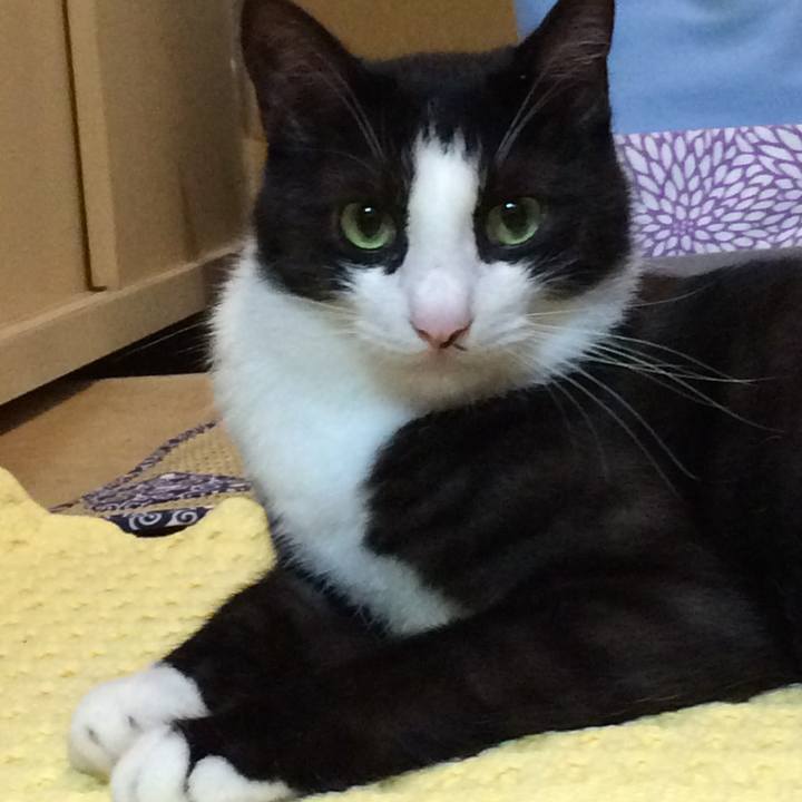 E15fc318 76a9 4a7c bcc9 6a07359bebf9