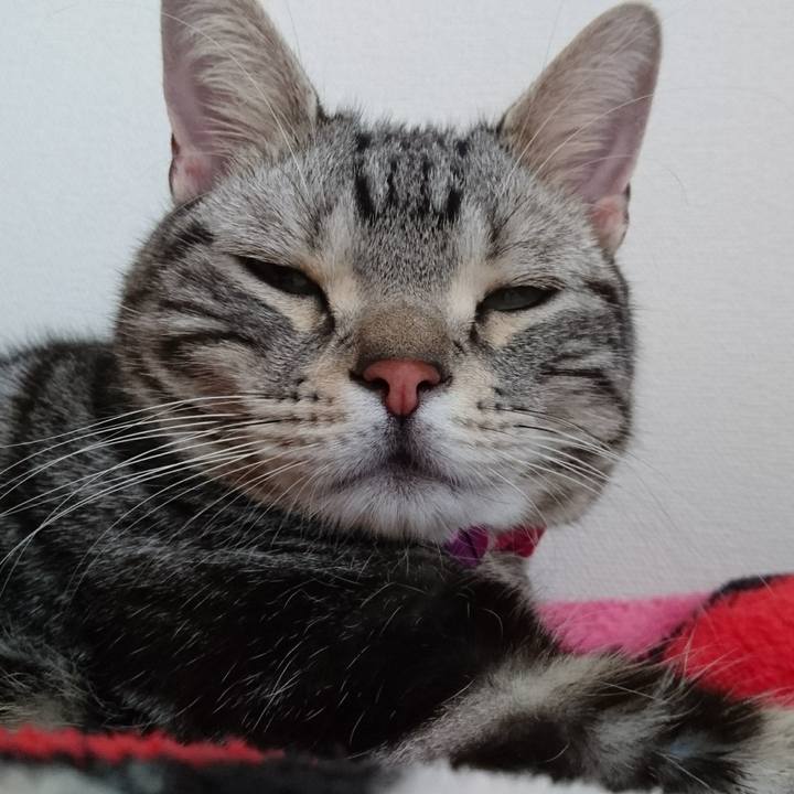 E1601a9f 7ea5 480d b180 4a08a234dab1