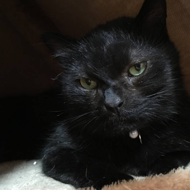 E1608b25 3fe5 41dd 95dd 2f28701c4653