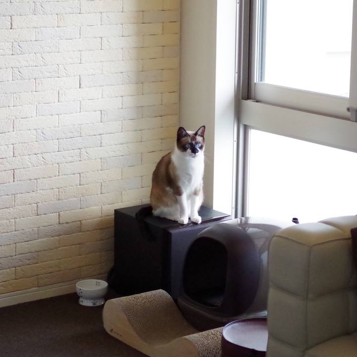 E1611f2d a916 40b5 b69d 081b0bb7b621