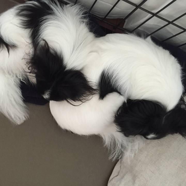 E161b60b 3604 404e 9815 43ec42916f69