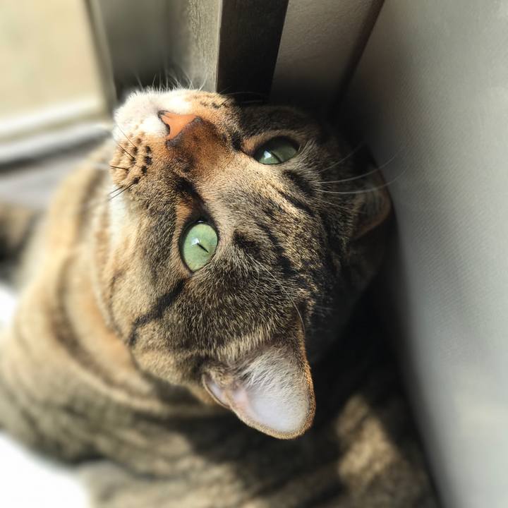 E162412b ca43 4ad9 9ed9 6e90d12d8886