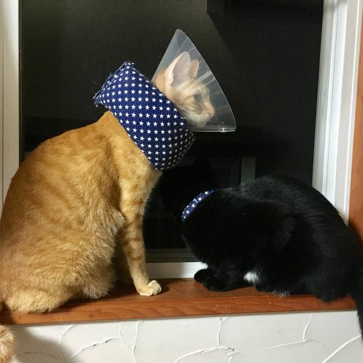 E162ed12 cdf7 41f4 aaa0 5a38abf3ff34