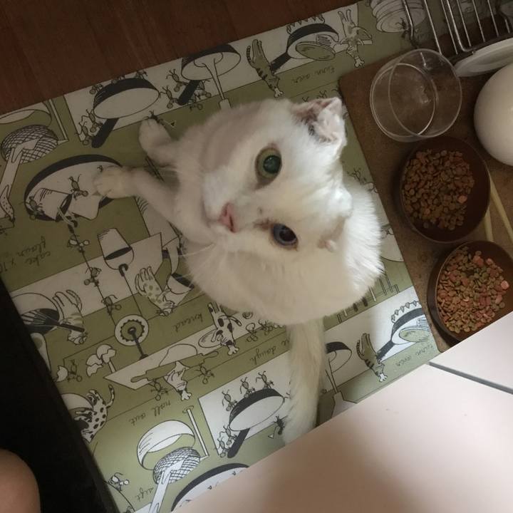 E163516a f1d7 4e7e 8c73 72e2f0a0adb2