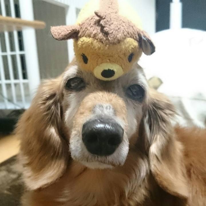 E163b262 bd02 42cd 92e2 4be88402fa2a