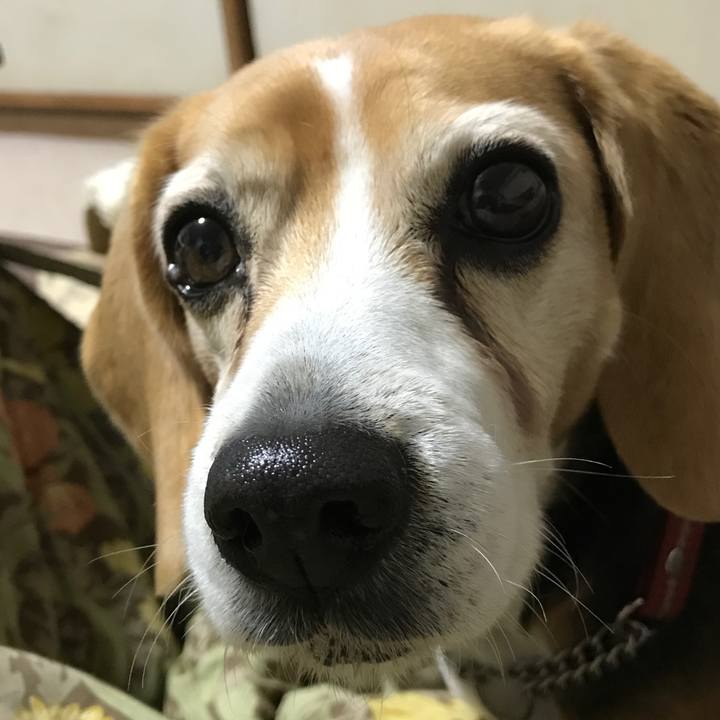 E163b5ce 2abf 40fc a3af 3a452908e403