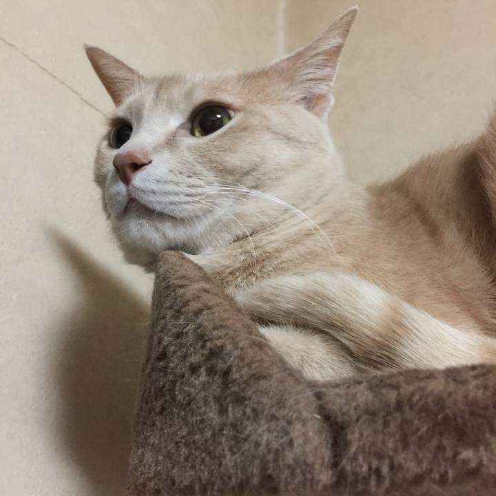 E164628f 377a 4062 992a f18edfe3449b