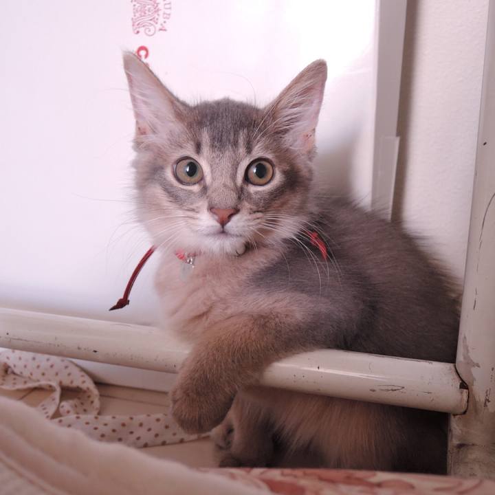 E16472ec 893f 44d6 add3 cc2cb25adffd