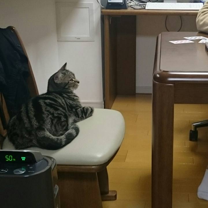 E164abb0 35d2 4859 864c 9e80153483b9