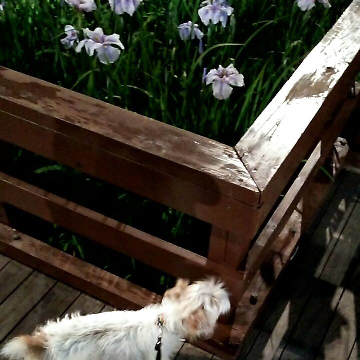 E164b90a 3994 4c18 bf27 0af6b90241f5