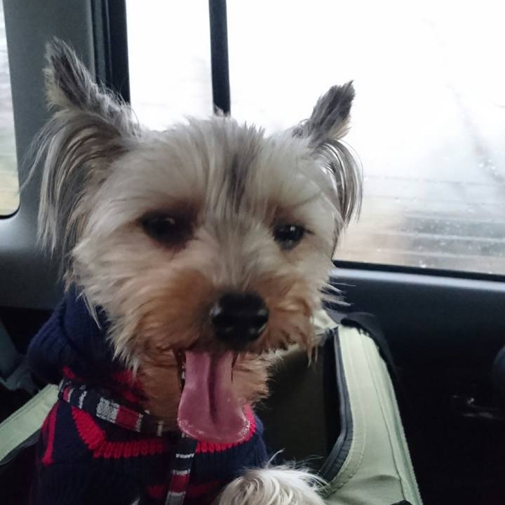 E165ab20 27f6 4fdc bec3 af6144d32233