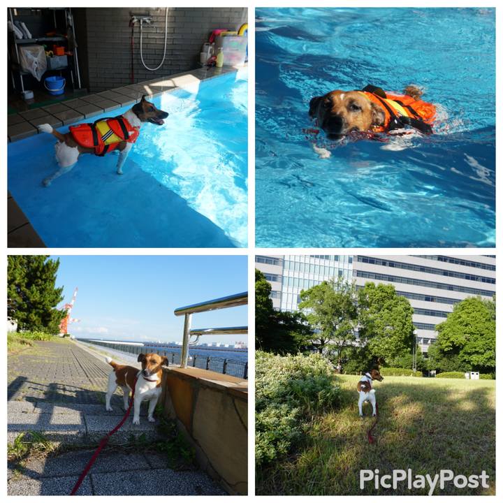 E165d780 7e13 4856 84f4 cdfaf222182e