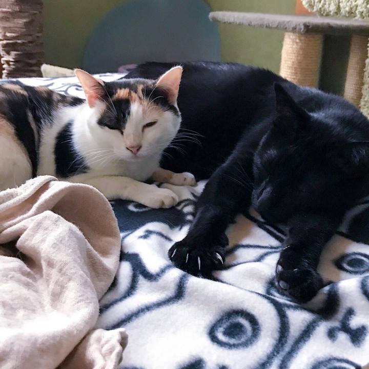 E165e875 da26 46cd bd3e c04a496b94be