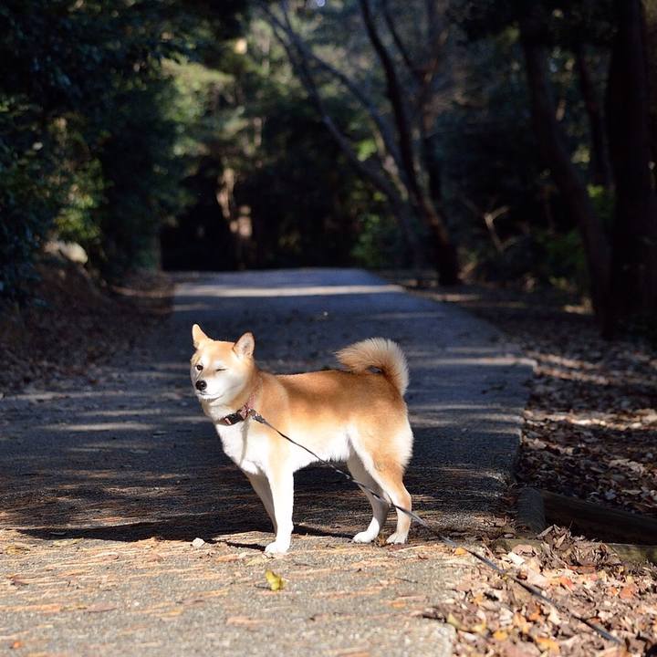 E165ef3f fc41 4b87 a479 34855a0252c5