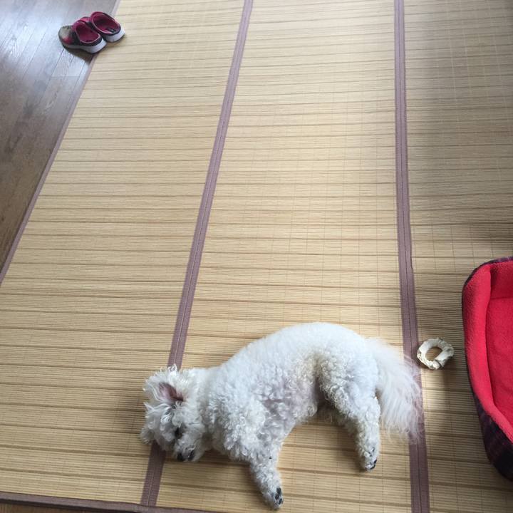 E1669c30 5164 471f bd0e 9aae2916bb4f