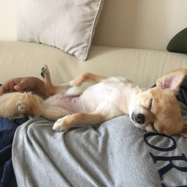 E1669d1d 43fc 489b 8bfb c78ec2957935