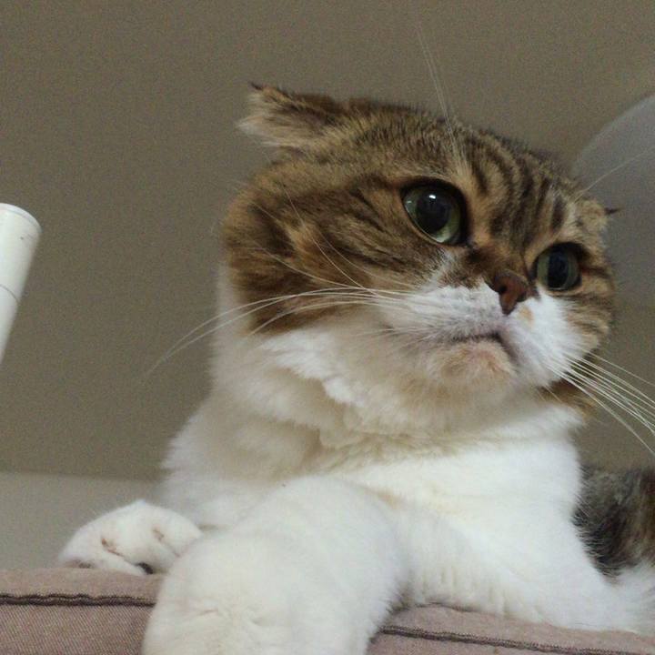 E166e1f2 43ec 48e5 9bf9 feb8780b21ba