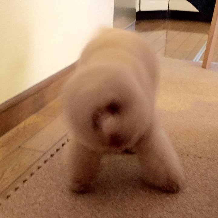 E167b150 914e 412a a040 79820919a24c