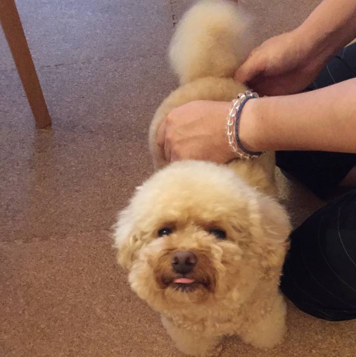 E167c520 2835 40fe 8727 582a47787c40