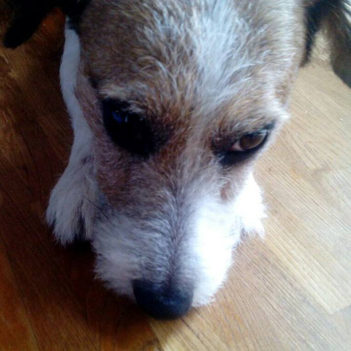 E1684662 686e 4858 a23f b48e5c2f568e