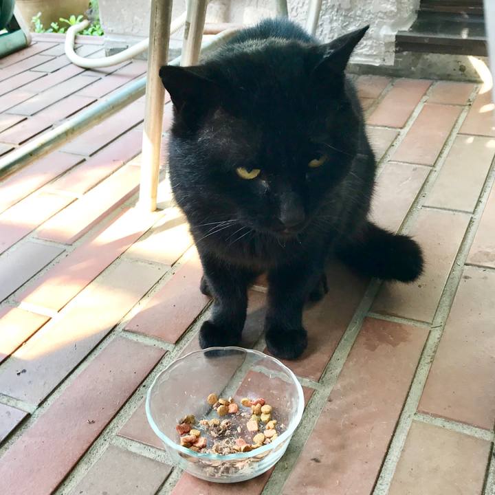 E168aa27 7e02 4b39 b107 5a0aa1bbd5c1