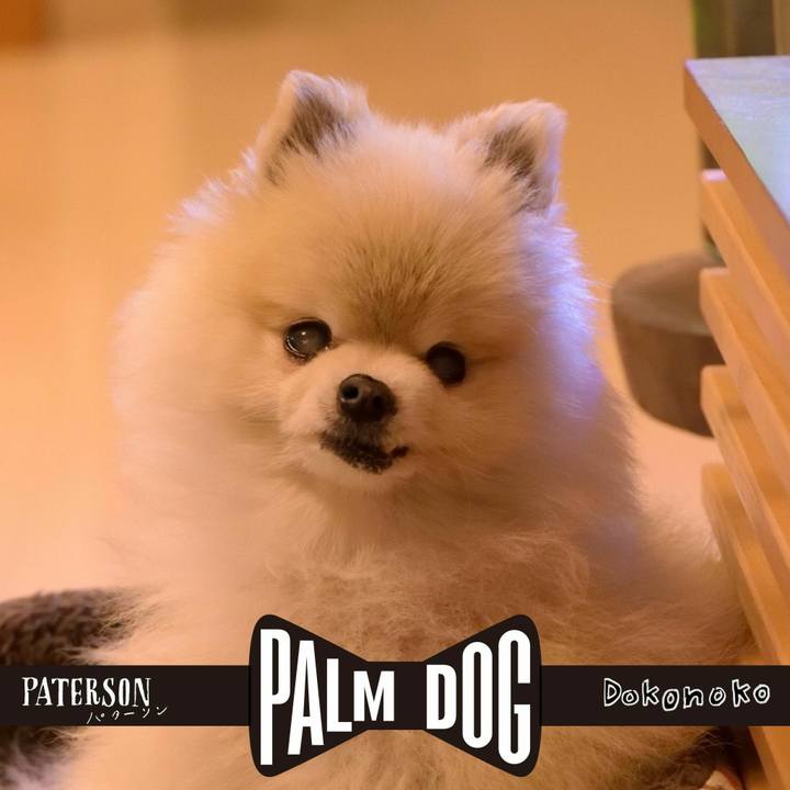 E168e1f2 7975 4ae4 b42b 28fe36e54d0b