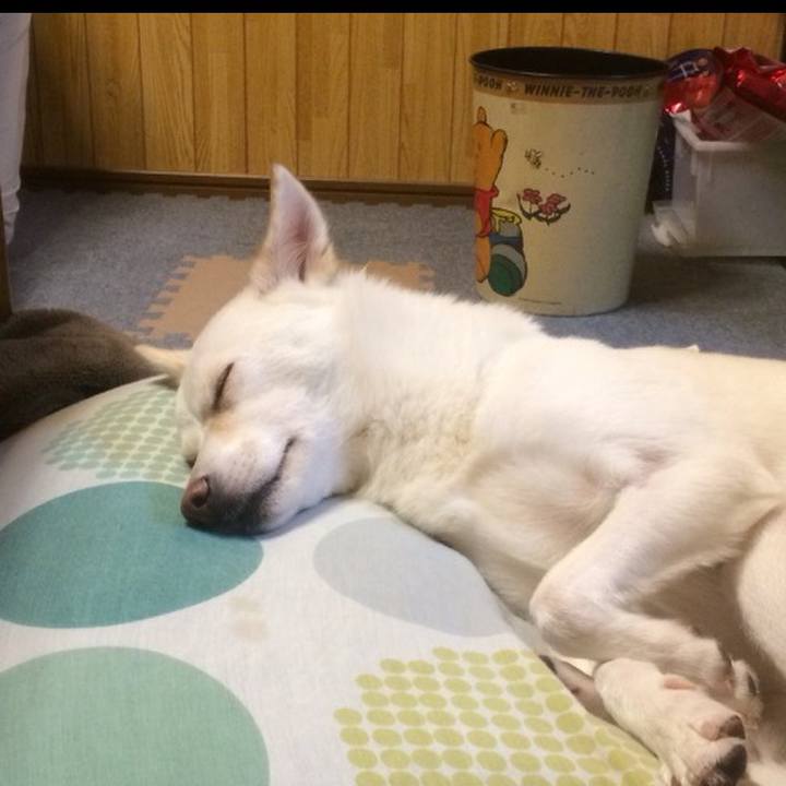 E16a1a7d 78c7 41c8 b1be d2cbfd95a0cf