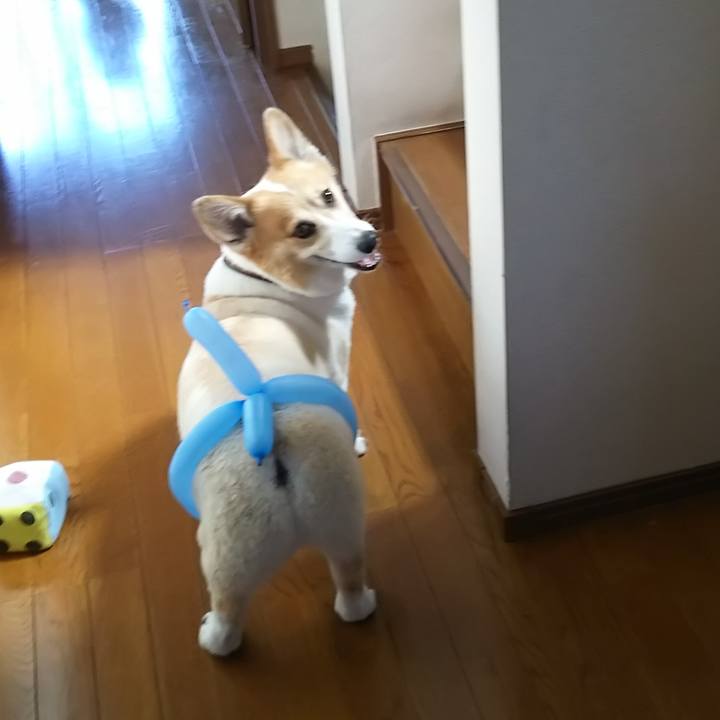 E16a3a1a 10e2 4e5c b0e2 d18a2387371f