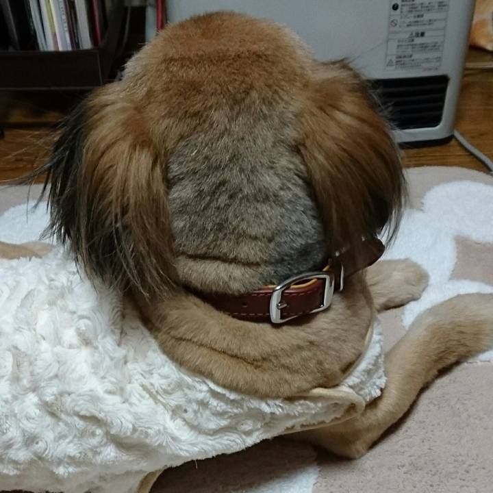 E16a9aea 2d50 498a 92eb b934c7edb323