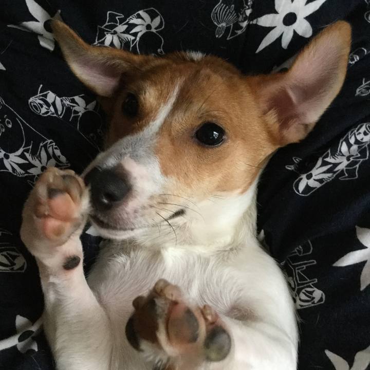 E16b0835 8645 4aa8 a548 dec42913893c