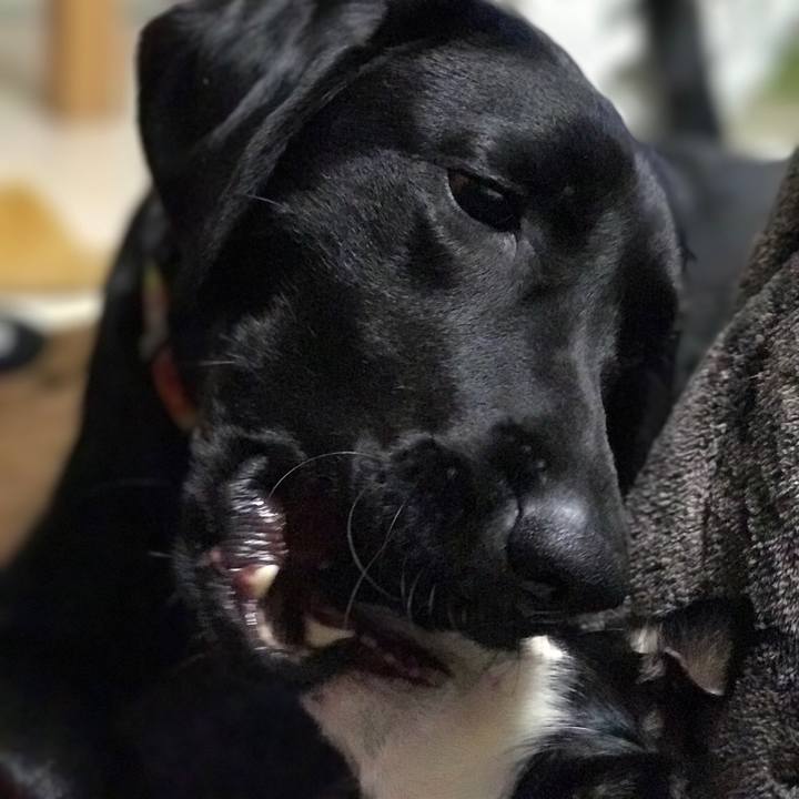 E16b1675 8531 4cd4 bdc1 fd4d68aae1b8