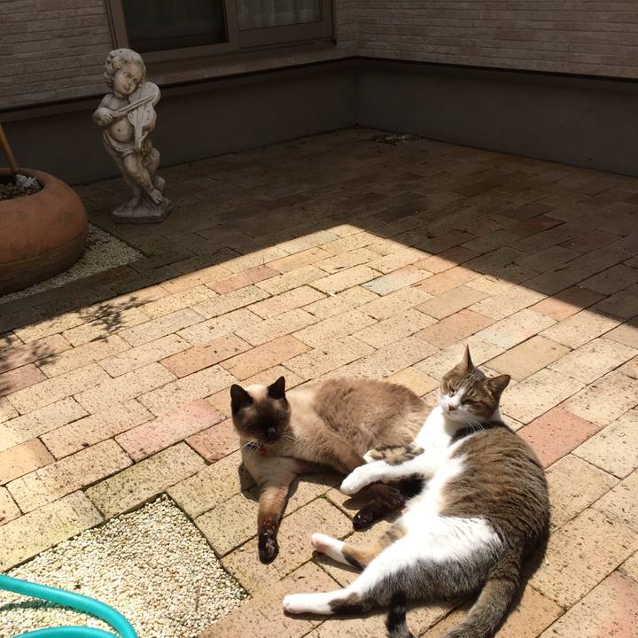 E16b9f23 892c 43d4 8700 2a1cb5407950