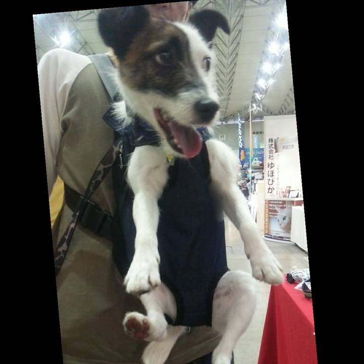 E16c17dc 2ac8 4e92 8681 62aa63e4105b