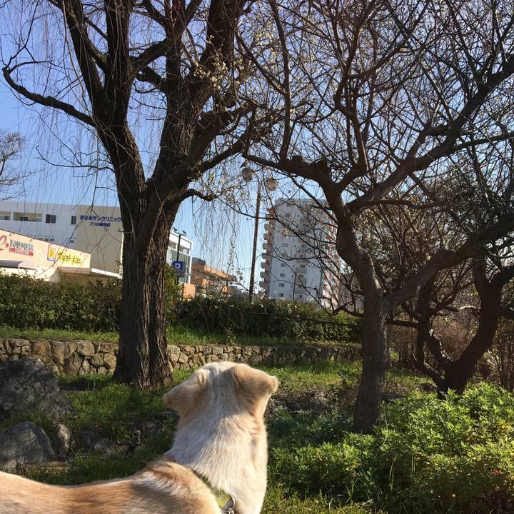 E16c4c49 7f3a 4d74 9720 23a98edbb4c9