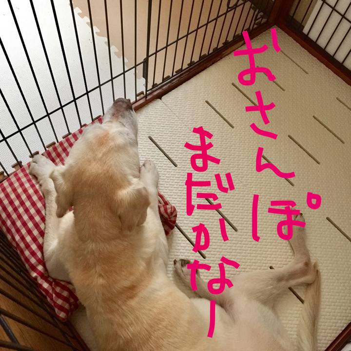 E16ccd39 34ed 41d9 b1ff a5f47e26dd17