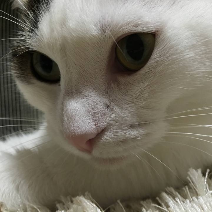 E16d10ac 99b7 42b9 906c 3810607f41a5