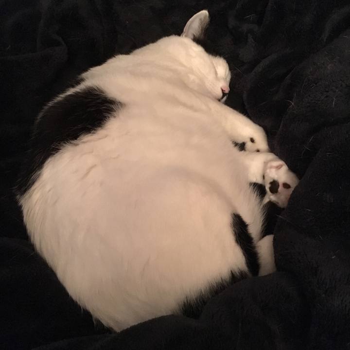 E16d8f8d 621a 487e b27a 3edefb232b5b