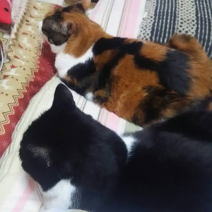 E16dbafc bbdc 4954 989c 594e5fe8f55b