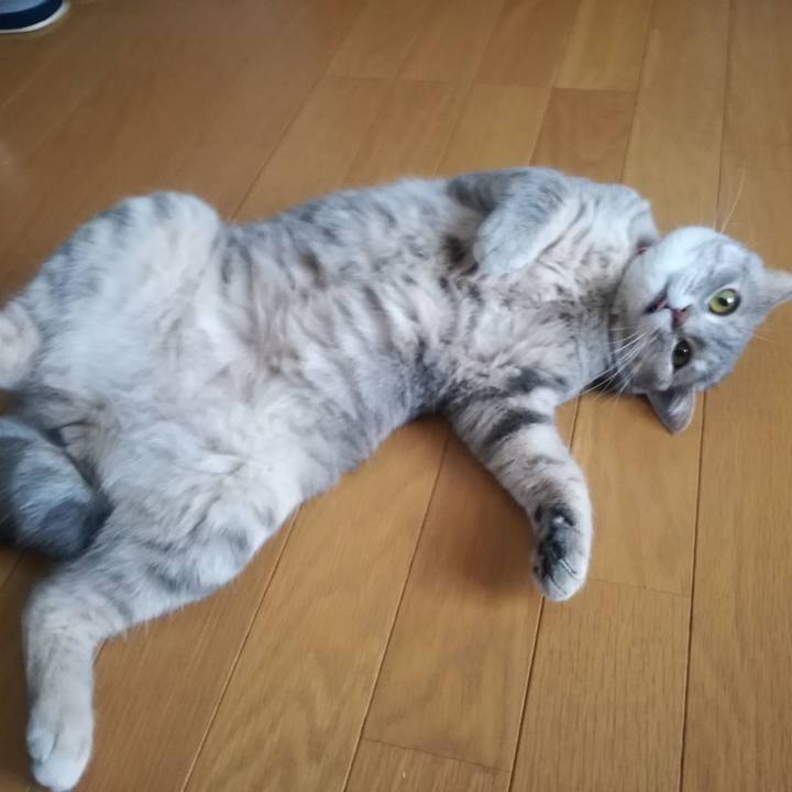 E16e1351 3269 496c a7c2 9fba1c1c89ca