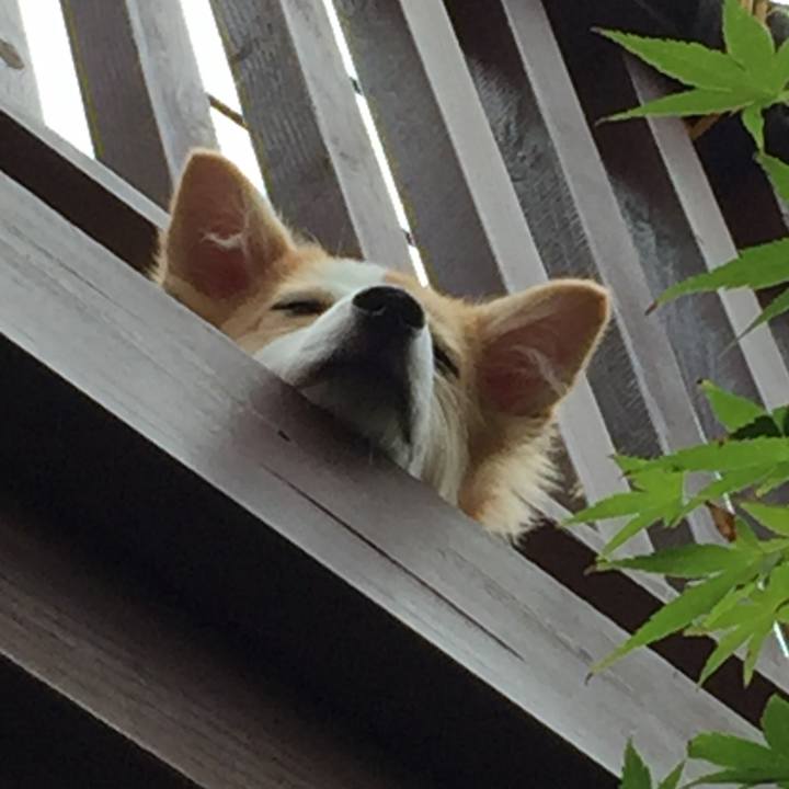 E16e1e9e 1be4 4431 b55e aa3b08aab211