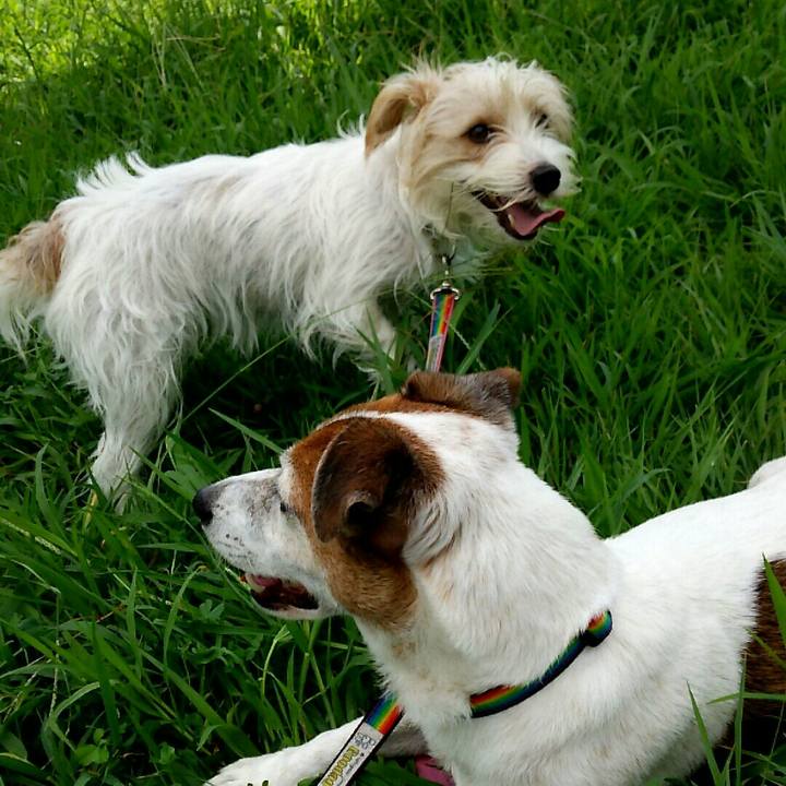 E16e66e8 a4c0 4c77 9544 0939782b6c32