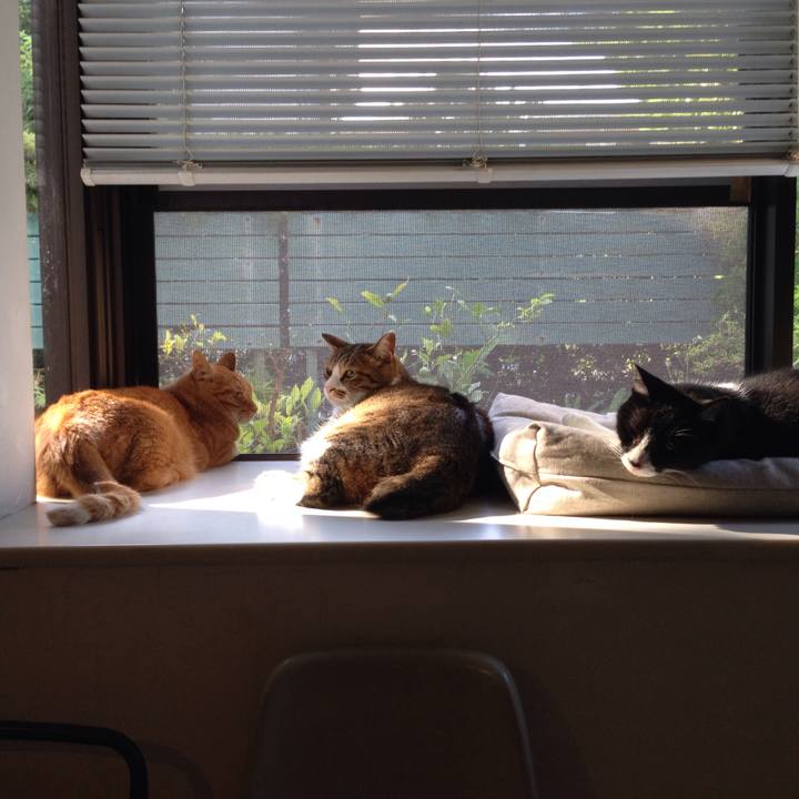 E16e88e6 18ec 42f3 9092 6365240cd24f