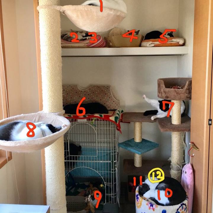 E16ec748 a89a 47c2 bc2e 0d24de476ce0