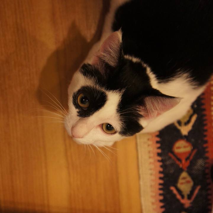 E16efdee 8527 422c 9a77 9d497b9a7ab8