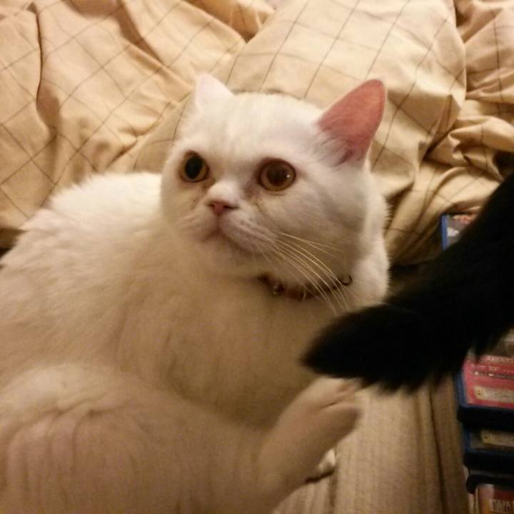 E16f44ef 0ff4 474f b0e8 46b86087ceb4