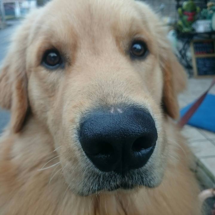 E16f6533 9ebf 4f73 a38b aa4d158e21b5