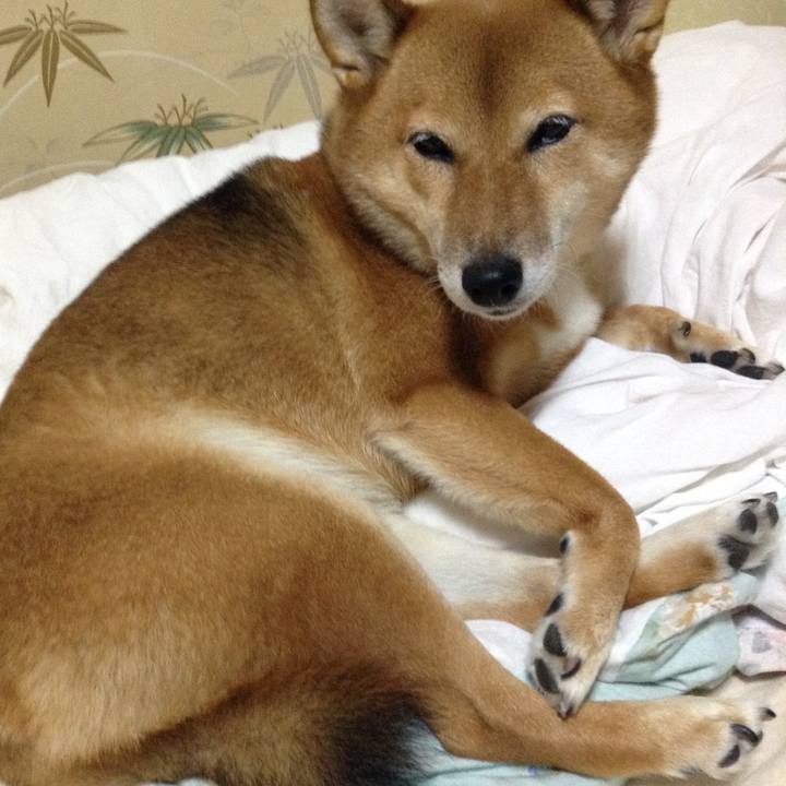 E16fc222 2470 40fa b485 7d1b01d4c24e