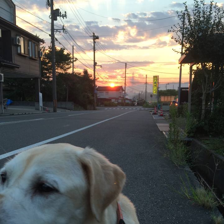 E1703dc1 22a6 439c 83f5 7f3dd6c01738